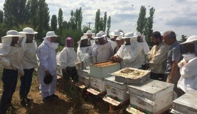 Bayramiç'te 'Uygulamalı Ana Arı Yetiştiriciliği' Kursu Düzenlendi