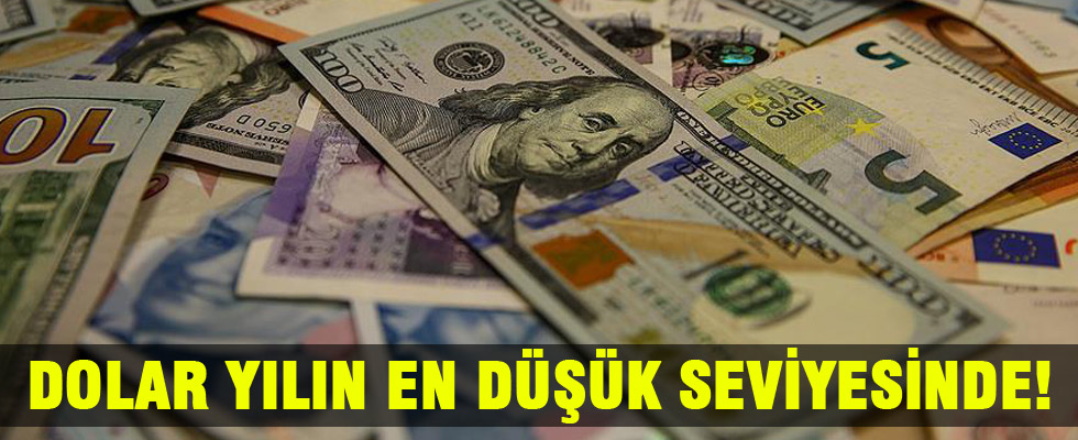 Dolar/TL yılın en düşük seviyesine geriledi