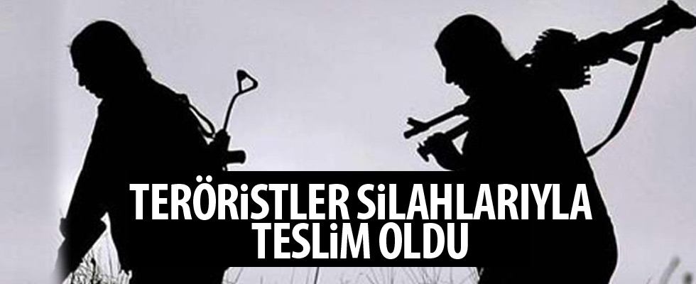 Hakkari'de teröristler teslim oldu