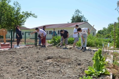 Özel Öğrencilerden Organik Tarım