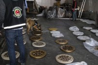 KAÇAK EŞYA - Sehpa Tablalarına Ve Dingile Gizlenmiş Uyuşturucu X-Ray'e Takıldı