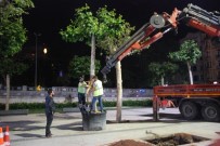 Taksim Meydanı Ağaçlandırma Çalışmaları Sona Erdi