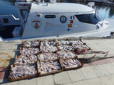 Trol tekneleriyle balık avlayanlara 20 bin lira ceza