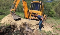 ÖMER KÜÇÜK - Tunceli'de Telef Olan Hayvanlar Gömüldü