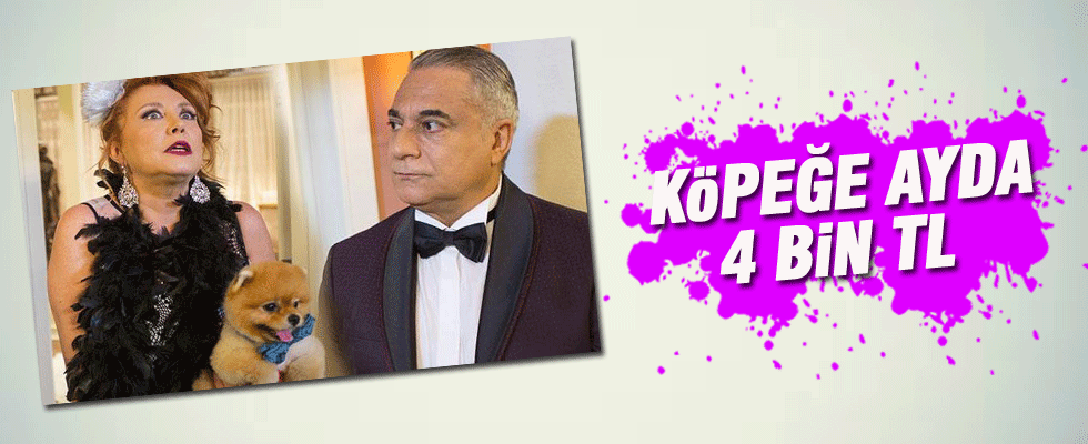 Türk Malı dizisinde oynayan köpeğe ayda 4 bin TL