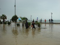 Çatalzeytin'i Sel Bastı, Evler Su Altında Kaldı