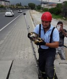 SOKAK KEDİSİ - Kuyuya Düşen Kedinin İmdadına İtfaiye Yetişti