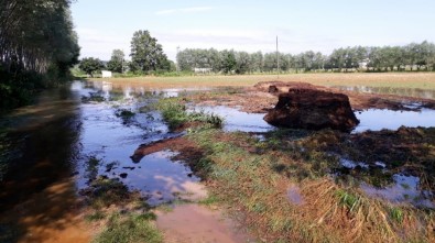Sakarya'da Tarım Arazileri Sular Altında Kaldı