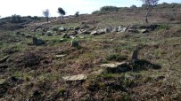 ASLANTEPE - Şehit Mezarları Gün Yüzüne Çıktı