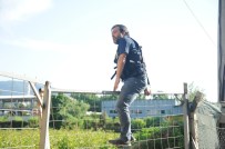 Bursa'da helikopter destekli uyuşturucu operasyonu