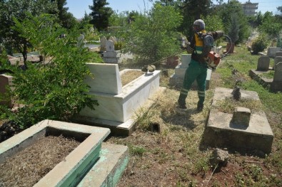 Diyarbakır'daki Mezarlıklar Temizleniyor