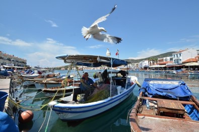Foça Belediyesi Deniz Öyküleri Ödülü'ne Başvurular Uzatıldı