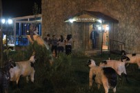 SÜMBÜL DAĞI - Hakkari Evi Ramazan Gecelerine Renk Kattı