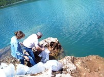 GIDA TARIM VE HAYVANCILIK BAKANLIĞI - Manavgat Oymapınar Barajına 50 Bin Yavru Sazan Balığı Salındı