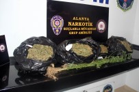 KARGıCAK - Alanya'da Uyuşturucu Operasyonu