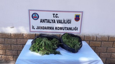 Antalya'da 10 Kilogram Esrar Ele Geçirildi
