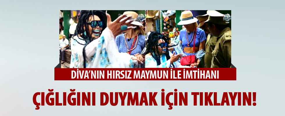 Bülent Ersoy'un hırsız maymunla imtihanı