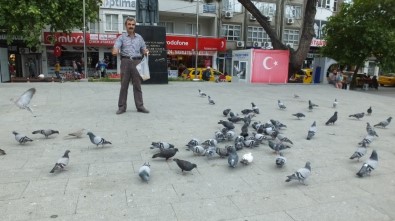 Ramazanda Güvercinlere Yem Verenlerin Sayısı Arttı