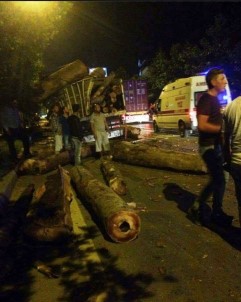 TIR'lar Çarpıştı Tomruklar Saçıldı