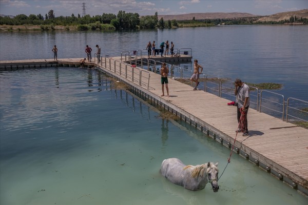 Nehirde hem kendileri hem atları serinledi