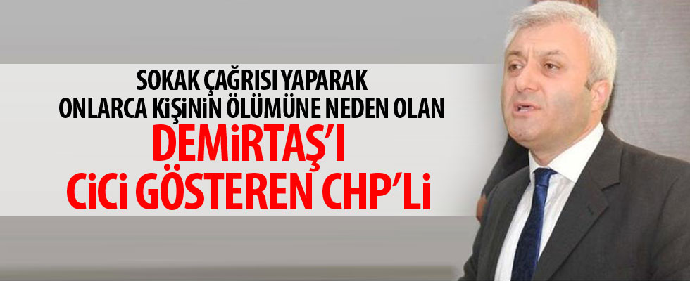 CHP'li vekilden Demirtaş'a destek
