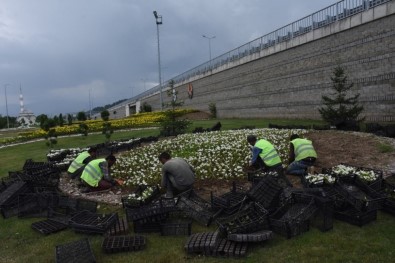 Düzce Belediyesi Kenti Çiçeklendirmeye Devam Ediyor