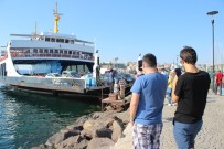 YOLCU GEMİSİ - Feribot, Dalgakırana Çarptı