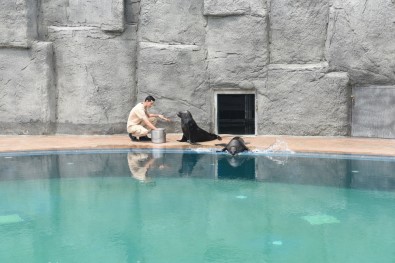 Bursa Hayvanat Bahçesi'nin Yeni Misafirleri İlgi Çekiyor
