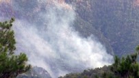 Denizli'de Orman Yangını Açıklaması 5 Hektarlık Alan Zarar Gördü