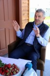 GAZİ YAKINLARI - Kayseri Büyükşehir Belediye Başkanı Mustafa Çelik Açıklaması