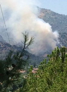 Sultanhisar'da Orman Yangını