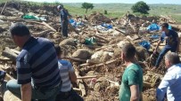 ÖZBURUN - Ağıl çöktü, 470 koyun telef oldu