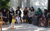 TENDÜREK DAĞI - AK Parti Genel Başkan Yardımcısı Karaaslan'dan Şehit Ailelerine Ziyaret