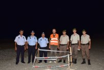 CARETTA CARETTA - Alanya'da Caretta Caretta Yuvası Koruma Altına Alındı