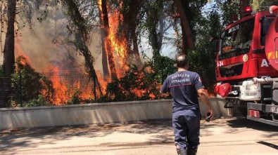 Antalya'da 5 Dönümlük Orman Yandı