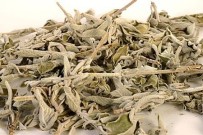 EGE İHRACATÇı BIRLIKLERI - Ege Sofralara Tat Katan Baharatların İhracatında Lider