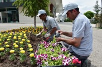 MAMAK BELEDIYESI - Yaz Geldi Mamak Yeşillendi