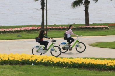 Büyükşehir'den 36 Bin 547 Metre Bisiklet Yolu