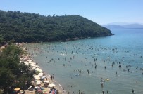 DİLEK YARIMADASI - Milli Parkta Ziyaretçi Rekoru Kırıldı