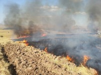İTFAİYE MÜDÜRÜ - Siirt'te Anız Yangını