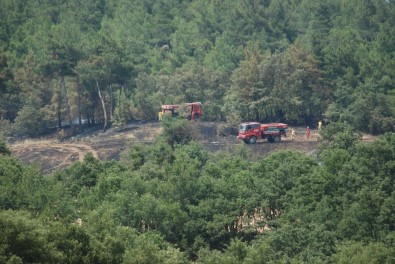 Çanakkale'de Arazi Yangını