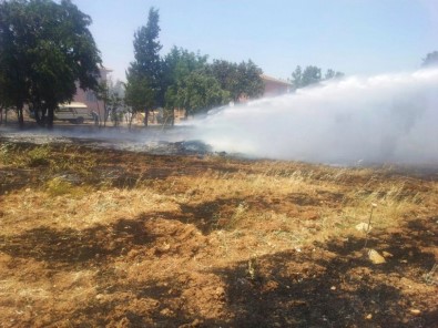Mardin'de Ağaçlık Alanda Yangın