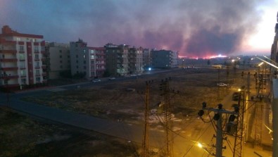 Viranşehir'de Anız Yangını