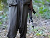 ŞANLIURFA MİLLETVEKİLİ - Yakalanan 4 PKK'lının saldırı planı ortaya çıktı