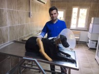 SOKAK KÖPEĞİ - Yaralanan Sokak Köpeği Tedavi Edildi