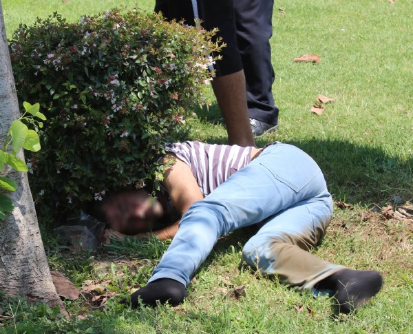 Bonzai kullanan genç krize girdi