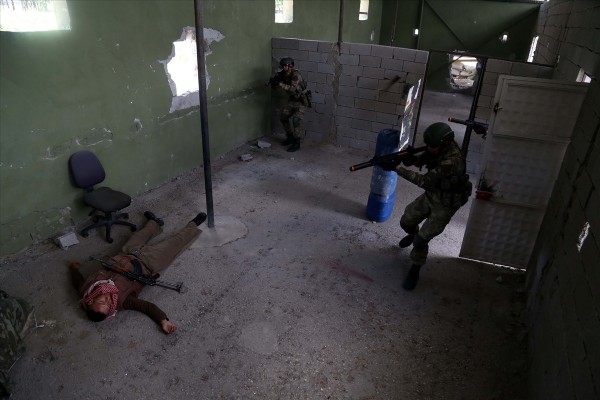 Terörle mücadelenin 'profesyonel' gücü