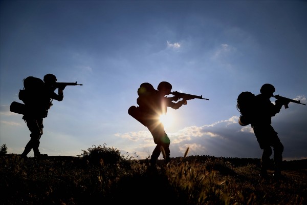 Terörle mücadelenin 'profesyonel' gücü