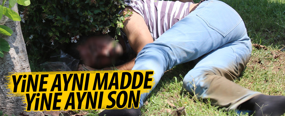 Bonzai kullanan genç krize girdi