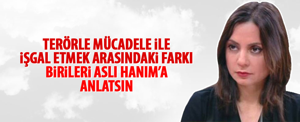 Aslı Aydıntaşbaş Türk ordusuna 'işgalci' dedi